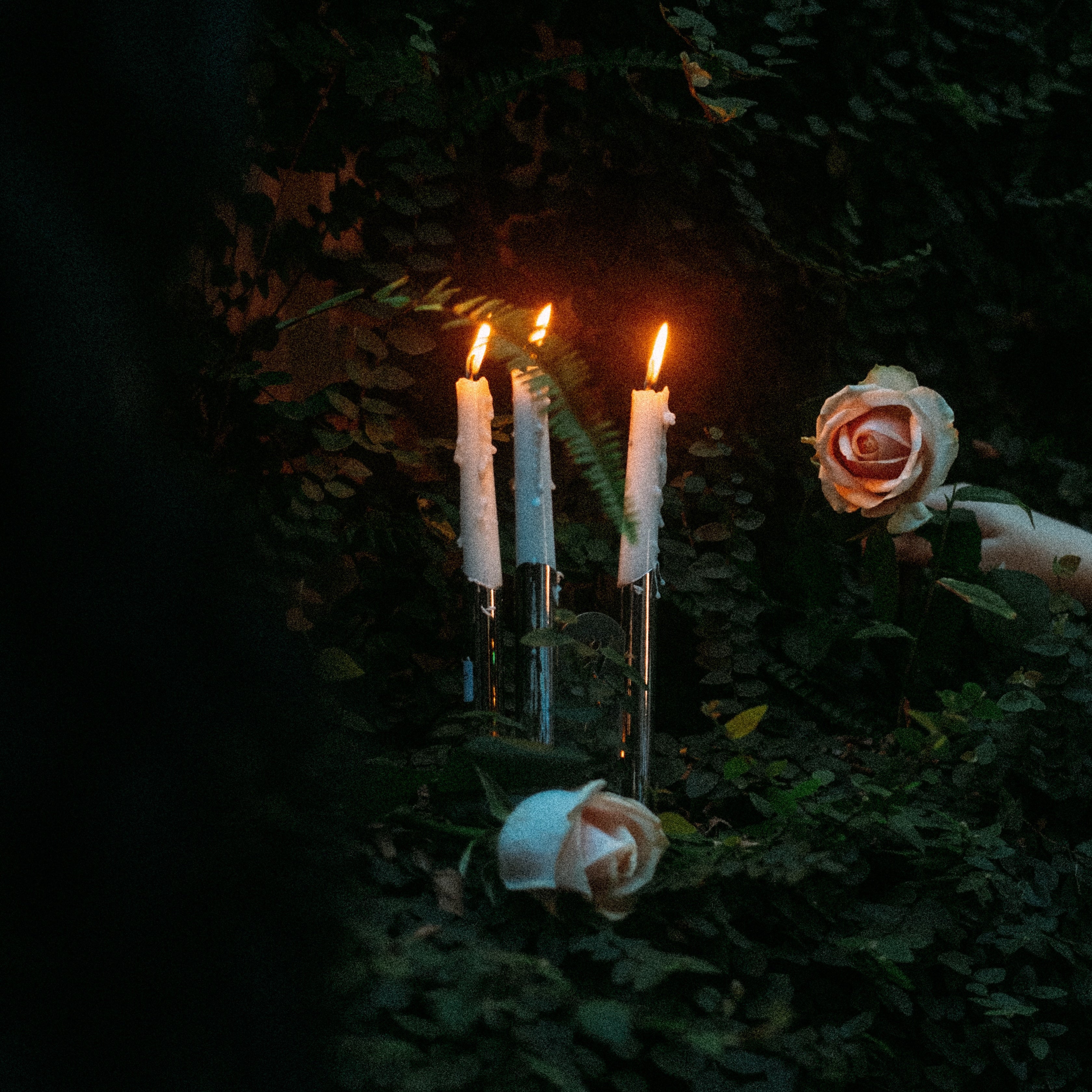 *PREORDER* "In Loving Memory Of..." Digital Download
