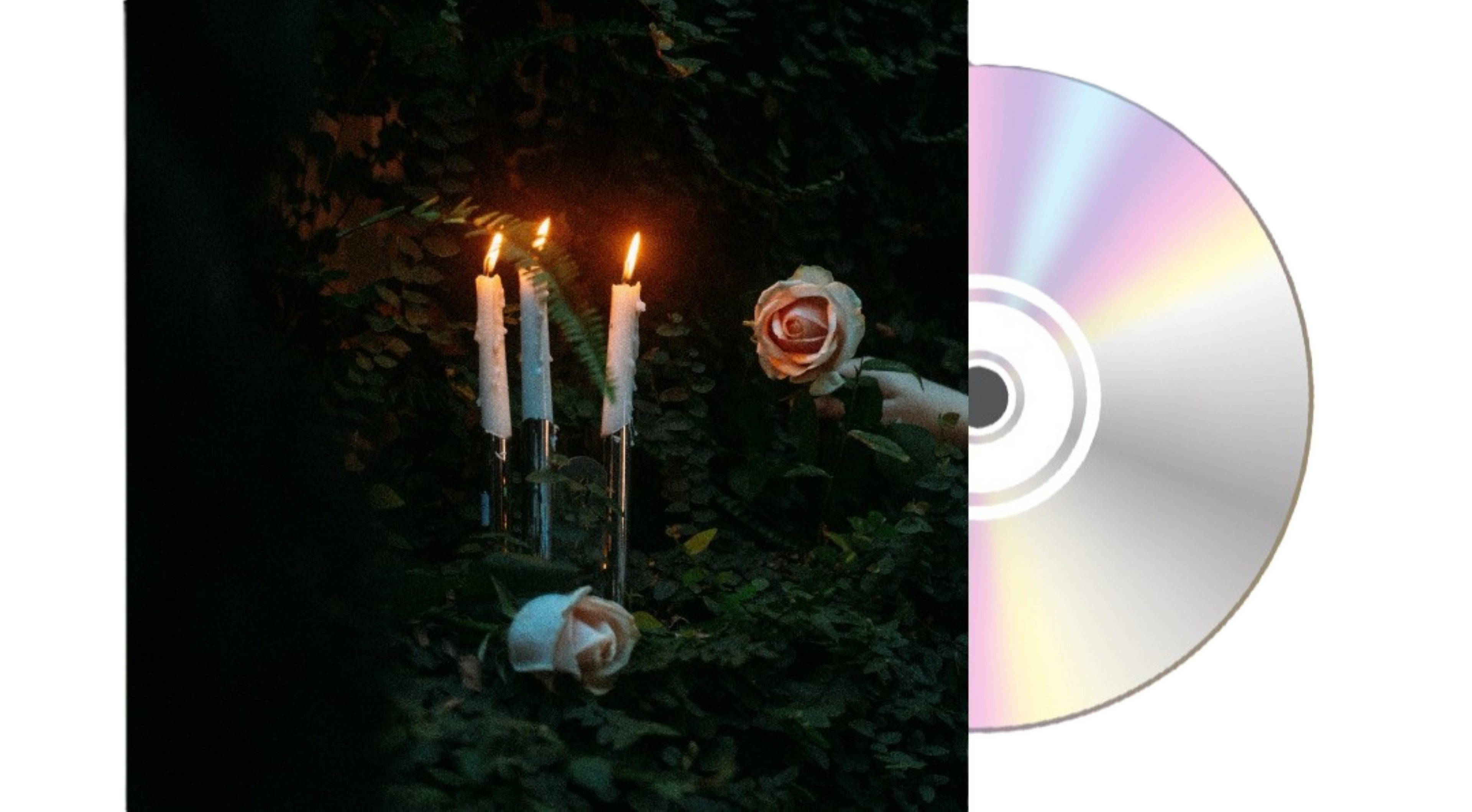 *PREORDER* "In Loving Memory Of..." CD